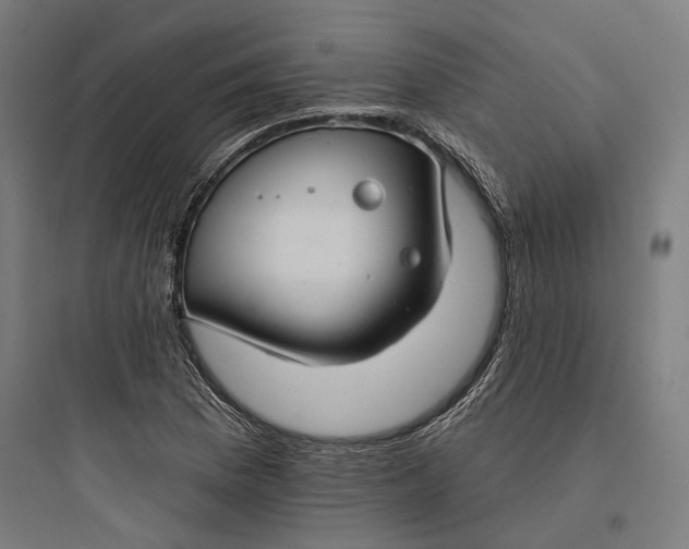 X0000093741169200711061017