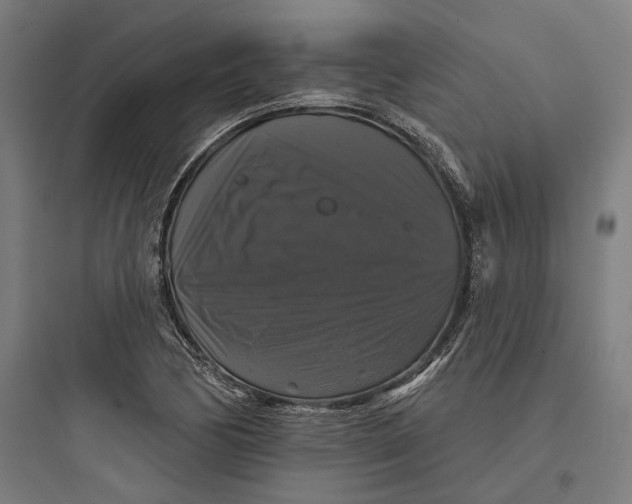 X0000093741170200711061017