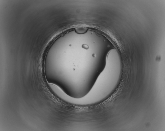 X0000093741173200711061017