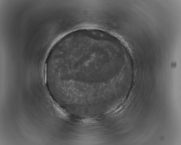 X0000093741175200711061017