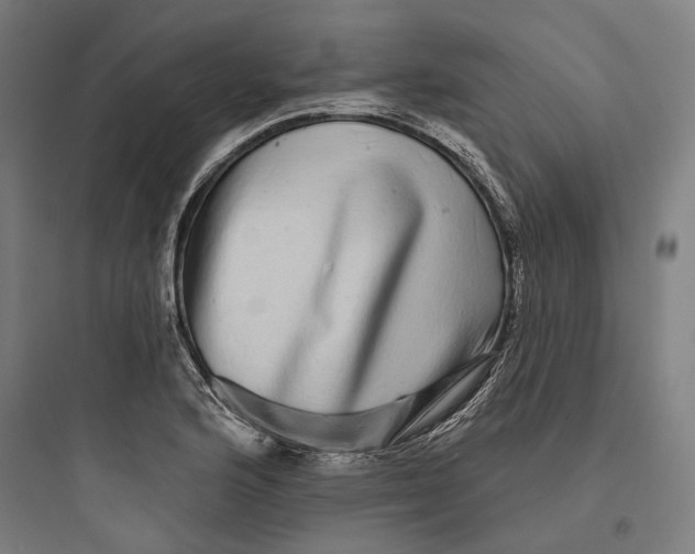 X0000093741176200711061017