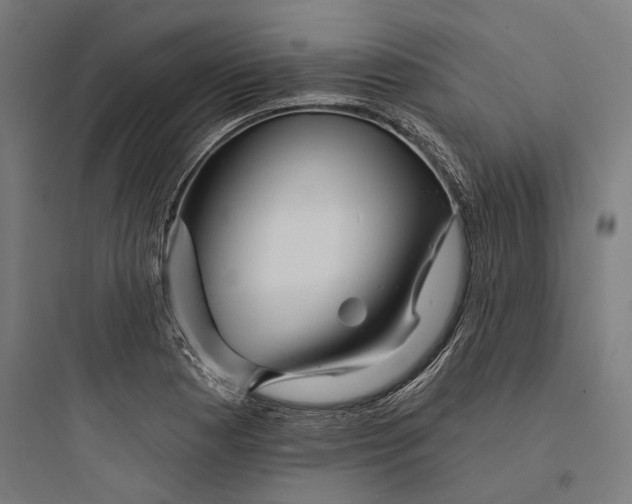 X0000093741177200711061016