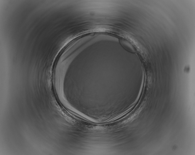 X0000093741178200711061016