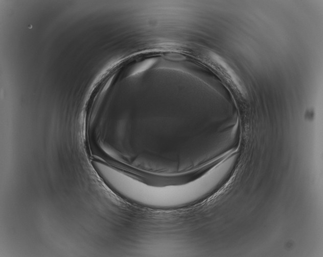 X0000093741180200711061016