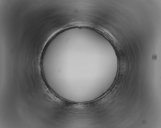 X0000093741182200711061016