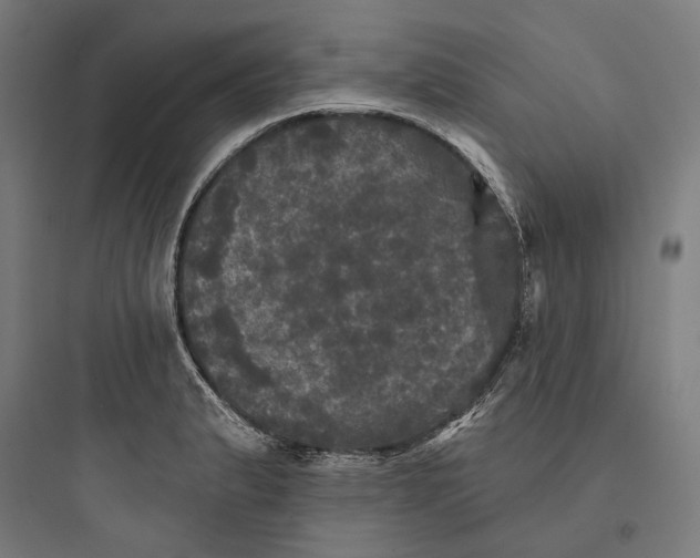 X0000093741183200711061016