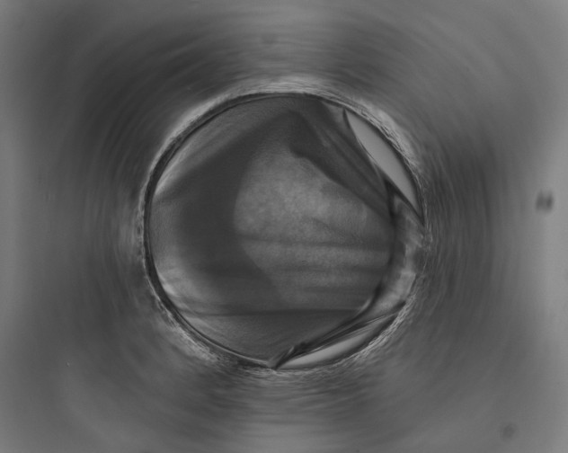 X0000093741184200711061016