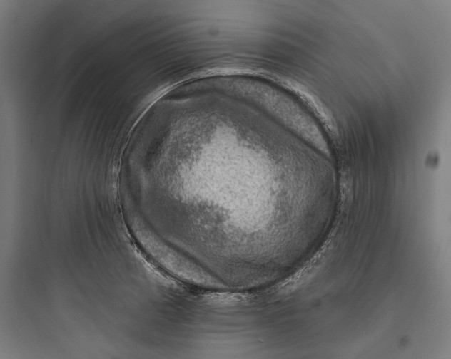 X0000093741185200711061016