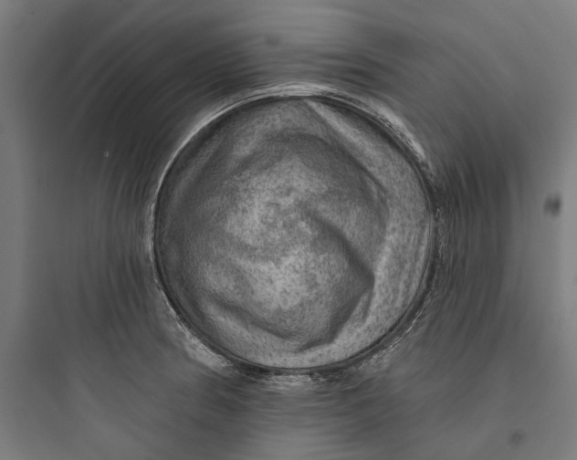 X0000093741186200711061016