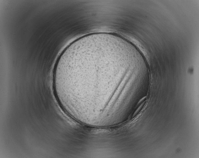 X0000093741187200711061016