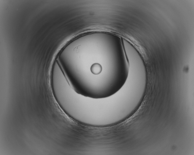 X0000093741188200711061016