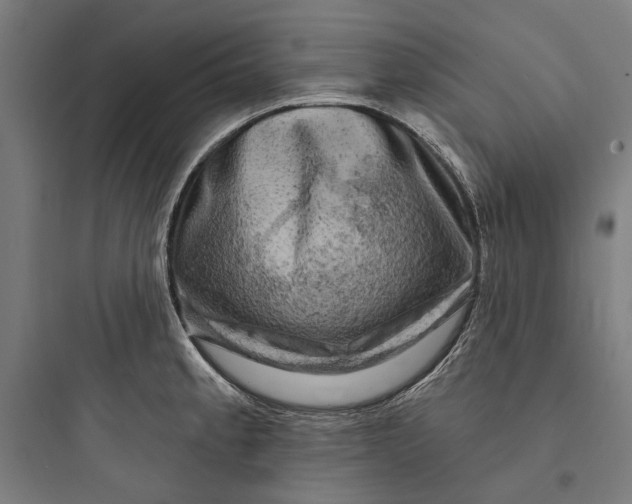 X0000093741189200711061016