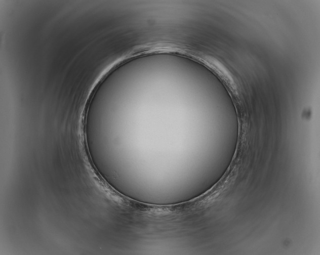 X0000093741190200711061016