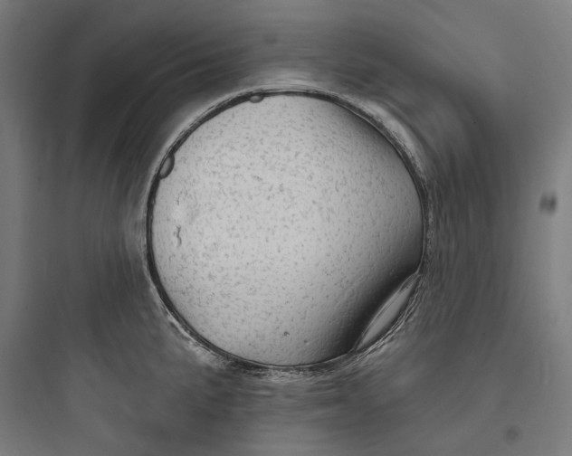 X0000093741191200711061016