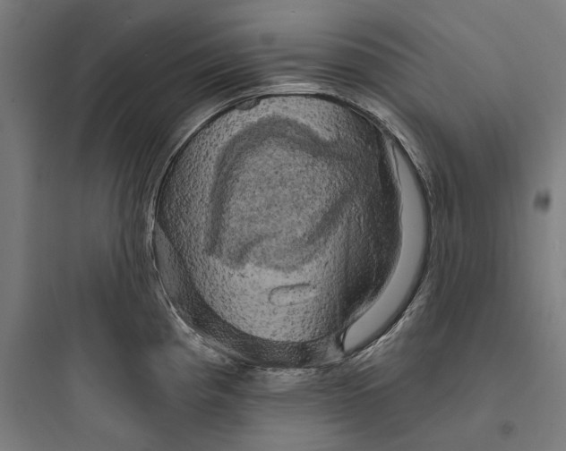 X0000093741193200711061016