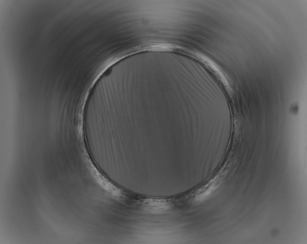 X0000093741194200711061016