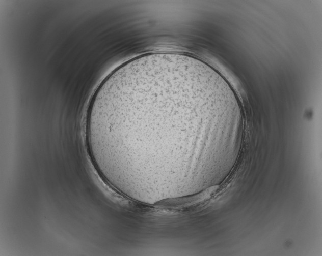 X0000093741195200711061016