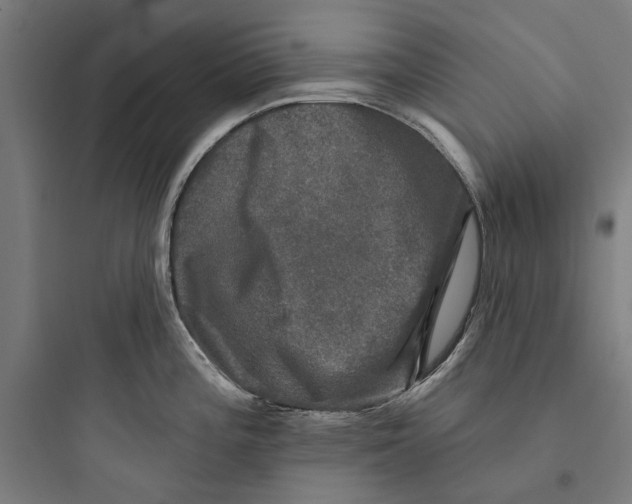 X0000093741196200711061016