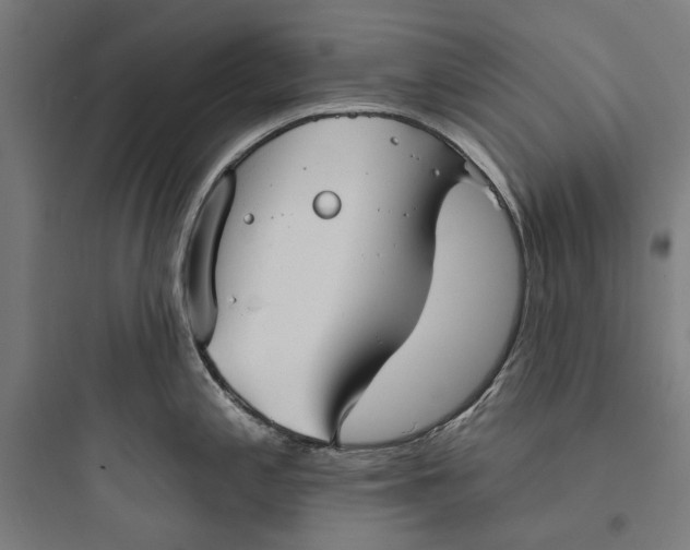 X0000093741197200711061016