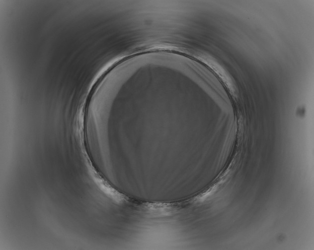 X0000093741198200711061016