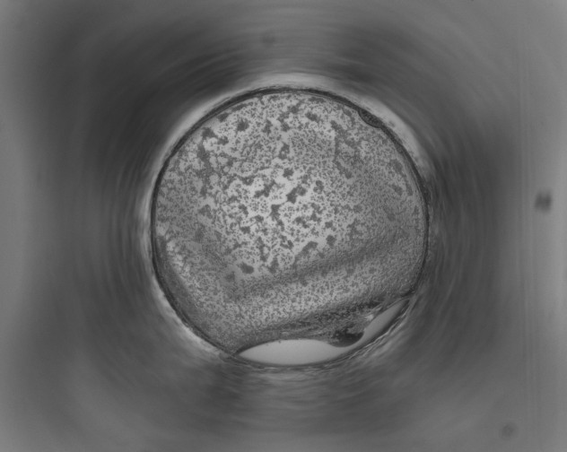 X0000093741199200711061016