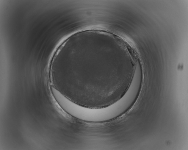 X0000093741200200711061016