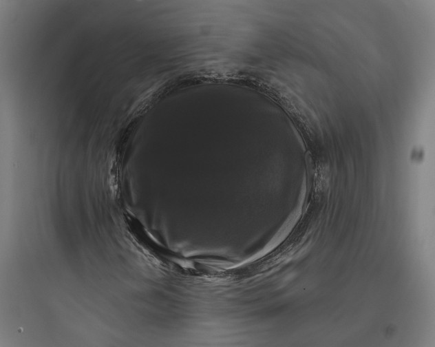 X0000093741202200711061016