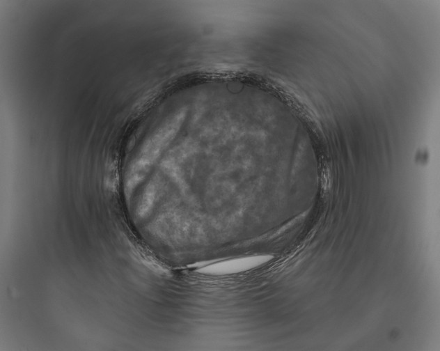 X0000093741204200711061016