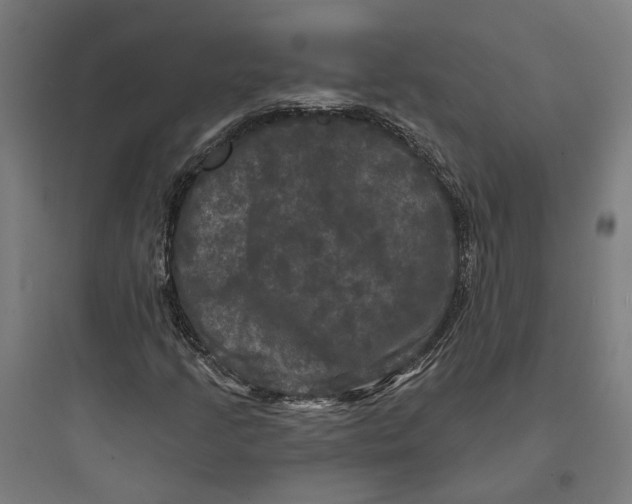 X0000093741205200711061016