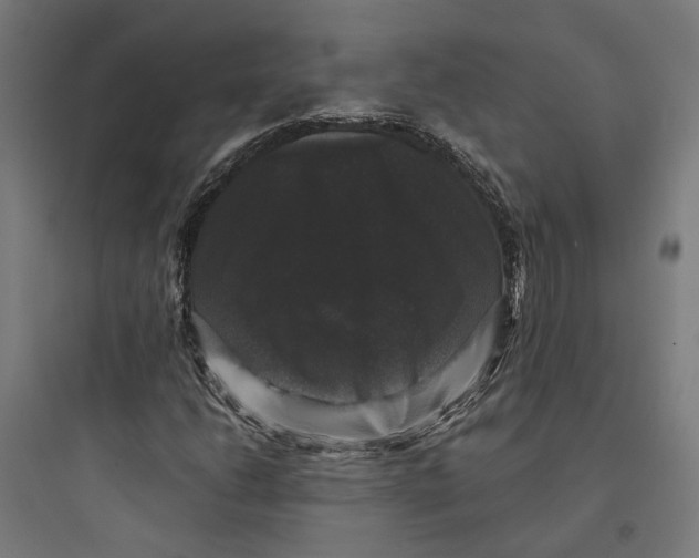 X0000093741206200711061016