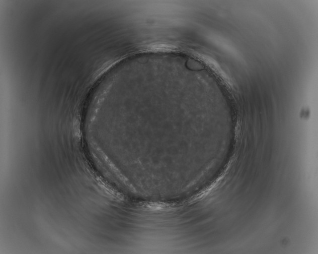 X0000093741209200711061016