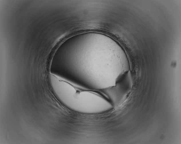 X0000093741210200711061016