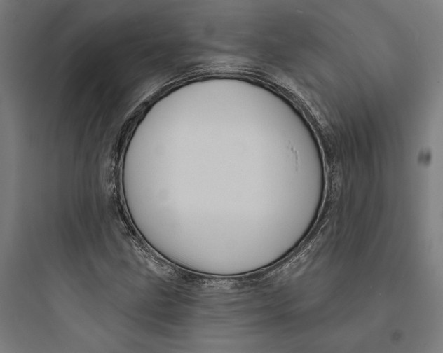 X0000093741211200711061016