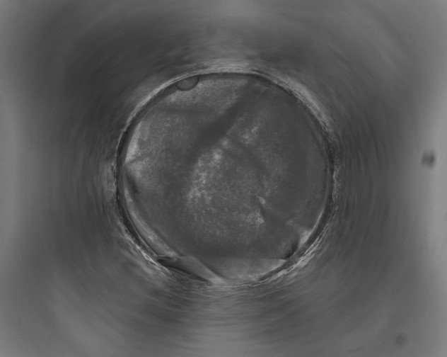 X0000093741212200711061016