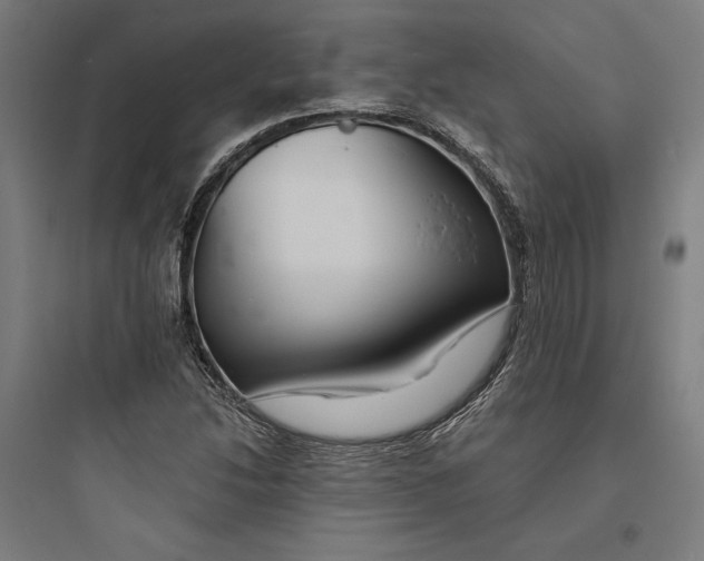 X0000093741214200711061016