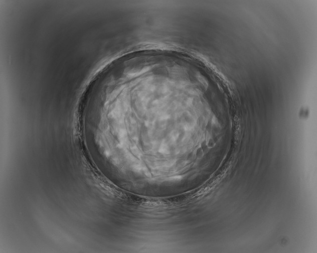 X0000093741215200711061016