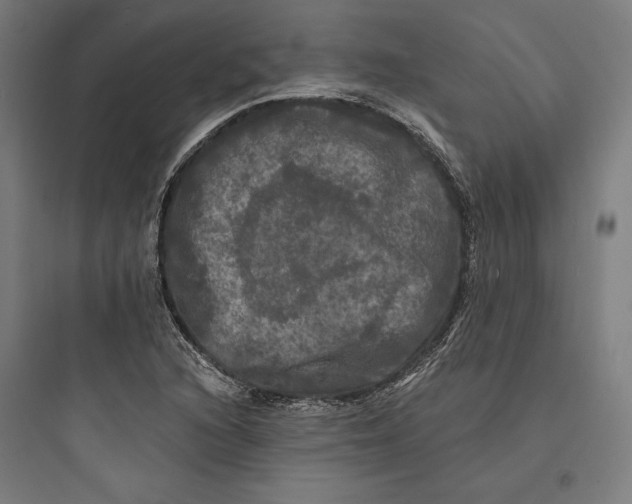 X0000093741216200711061016