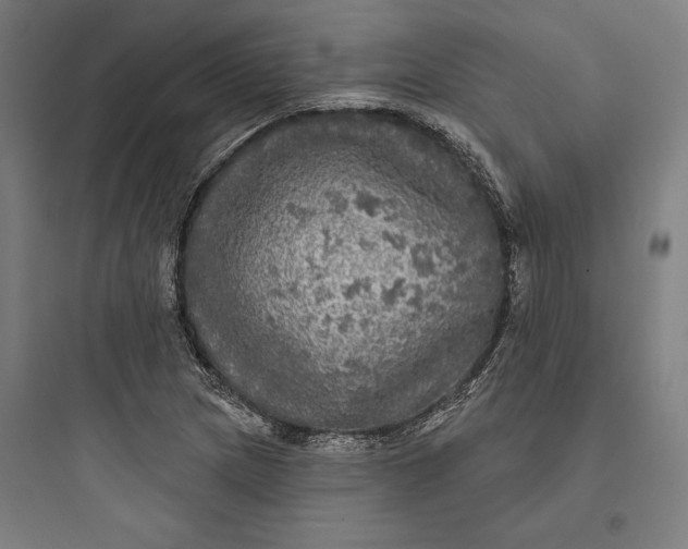 X0000093741217200711061016