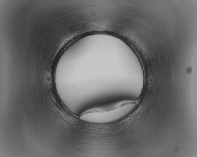 X0000093741218200711061016