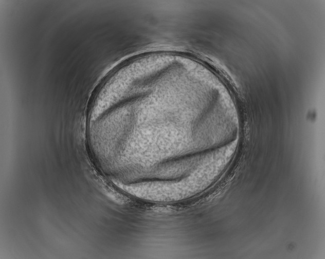 X0000093741220200711061016