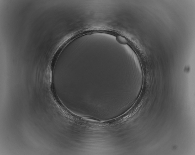 X0000093741221200711061016