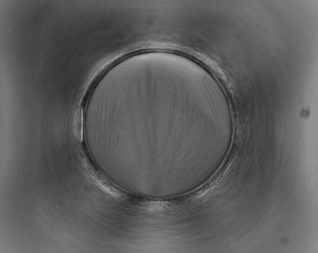 X0000093741223200711061016