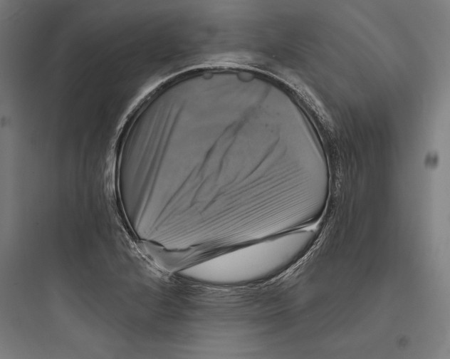 X0000093741224200711061016