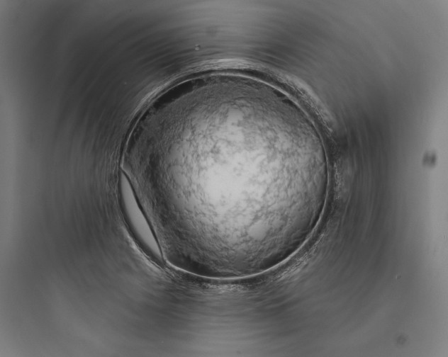 X0000093741225200711061016