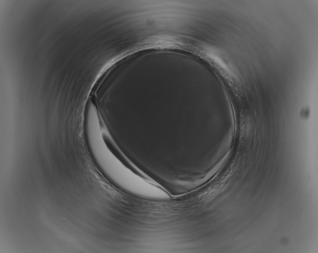 X0000093741226200711061016