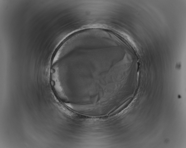 X0000093741228200711061016