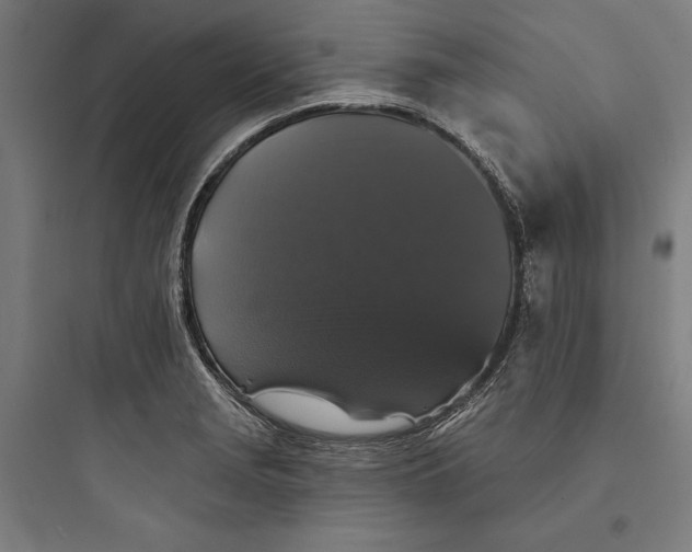 X0000093741229200711061016