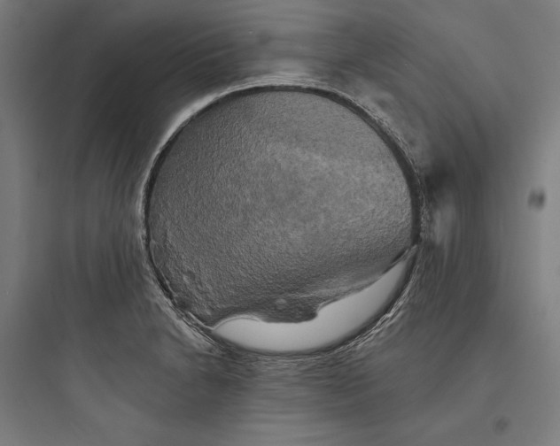 X0000093741230200711061016