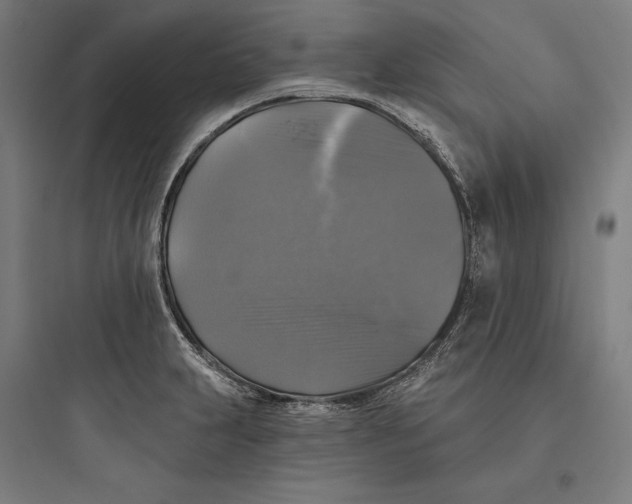 X0000093741231200711061016