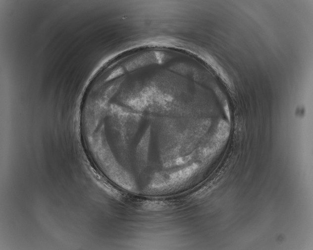 X0000093741232200711061016